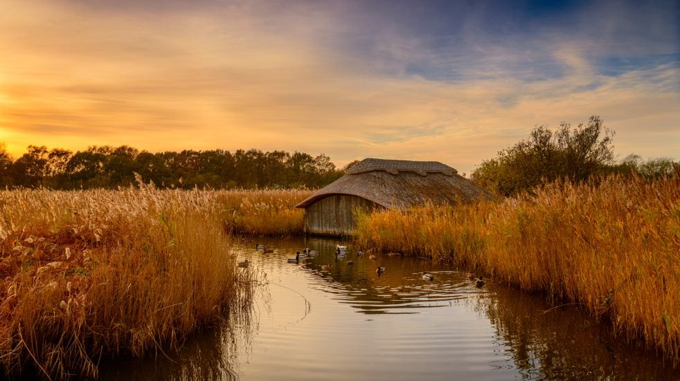 norfolk broads